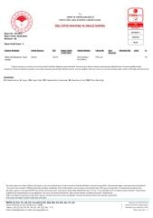 Arbequina 500ml- İlk Hasat -Eylül 2025