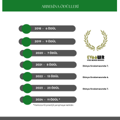 Arbequina 500ml- Erken Hasat -2024 Eylül