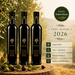Arbequina 500ml-3’lü Set –Eylül 2026 Hasatı Bekleniyor