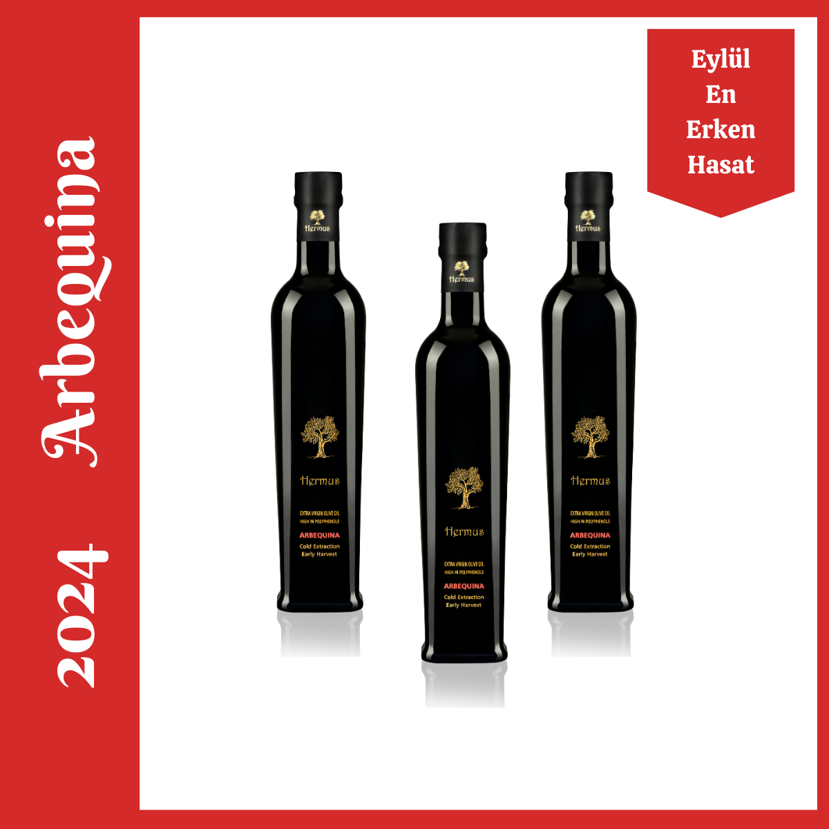 Arbequina 500ml-3’lü Set – Erken Hasat -2024 Eylül
